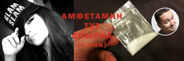 ГАЛЛЮЦИНОГЕННЫЕ ГРИБЫ Каменка