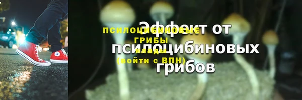 дурь Каменск-Шахтинский
