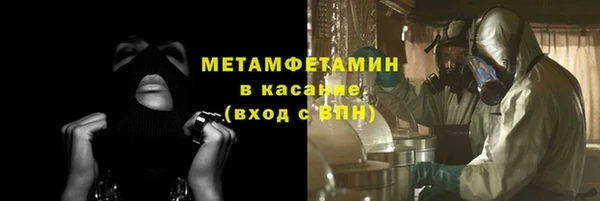 ГАЛЛЮЦИНОГЕННЫЕ ГРИБЫ Каменка