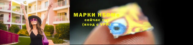 ГАЛЛЮЦИНОГЕННЫЕ ГРИБЫ Каменка