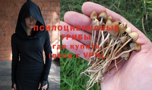 ГАЛЛЮЦИНОГЕННЫЕ ГРИБЫ Каменка
