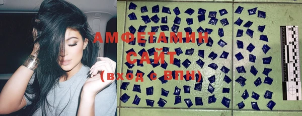 ГАЛЛЮЦИНОГЕННЫЕ ГРИБЫ Каменка