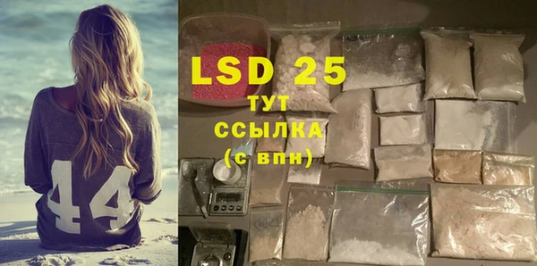 ГАЛЛЮЦИНОГЕННЫЕ ГРИБЫ Каменка