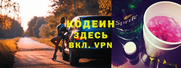 ГАЛЛЮЦИНОГЕННЫЕ ГРИБЫ Каменка