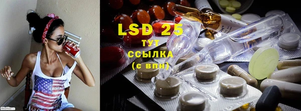 ГАЛЛЮЦИНОГЕННЫЕ ГРИБЫ Каменка